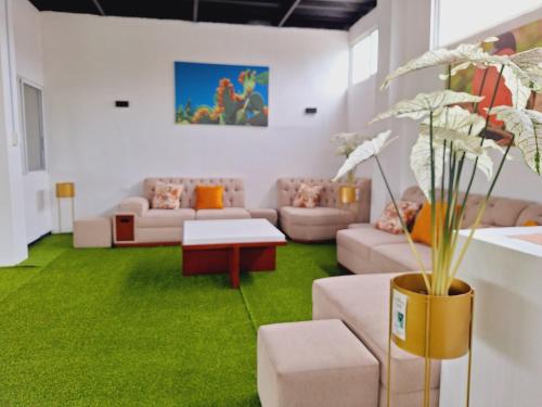 a living room with a couch and green carpet at Suite Familiar en Puerto Ayora in Puerto Ayora