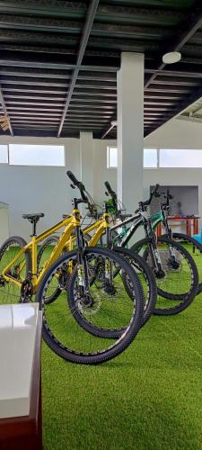 a group of bikes on display in a building at Suite Familiar en Puerto Ayora in Puerto Ayora
