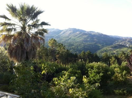 a palm tree and mountains in the distance at Casa Dos Cabecinhos in Paradamonte