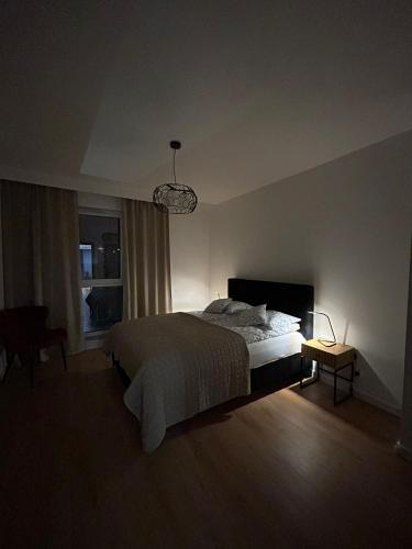 ein Schlafzimmer mit einem großen Bett und einem Fenster in der Unterkunft Apartament Klonova dla dorosłych in Olecko