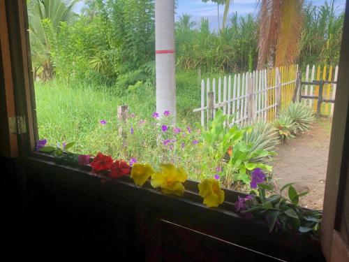 Um jardim em Cabañas Iracas del Mar