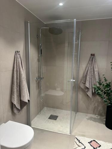 La salle de bains est pourvue d'une douche avec une porte en verre. dans l'établissement TheNorthernExplorer Penthouse, à Tromsø