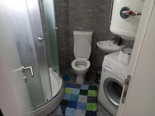 a bathroom with a toilet and a sink and a washing machine at Vikendica VILLA A1 in Banja Luka