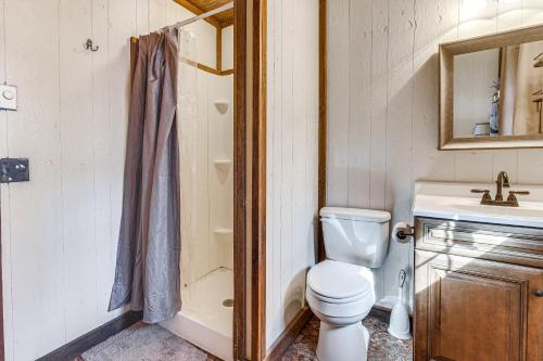 a bathroom with a toilet and a sink and a shower at Smoky Mountain Cabin with Fire Pit and Stunning Views! in Andrews