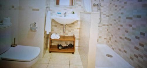 ein Bad mit einem Waschbecken, einem WC und einer Dusche in der Unterkunft Jardines Paraisol in Salou