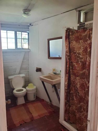 a bathroom with a toilet and a sink at Schmidt’s Natures Way Guesthouse in Punta Gorda