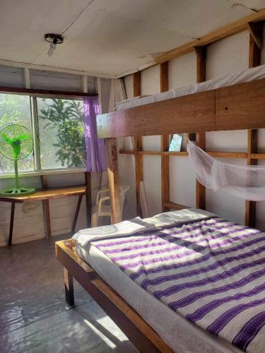1 dormitorio con litera y ventana en Schmidt’s Natures Way Guesthouse, en Punta Gorda