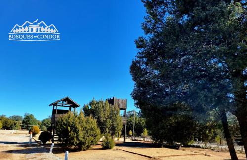 Φωτογραφία από το άλμπουμ του Cabañas Bosques del Cóndor La Rumorosa Baja California σε La Rumorosa