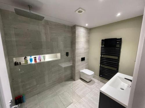 e bagno con doccia, servizi igienici e lavandino. di Beautiful Flat, Perfect Location in Newcastle a Jesmond