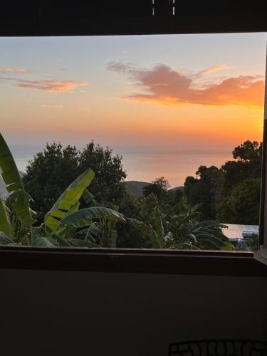 a view of a sunset from a window with plants at Villa Karata Appartement T3 avec Spa et vue sur mer BAILLIF Basse-Terre in Baillif