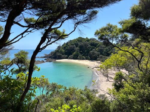a view of a beach from a hill with trees at Tutukaka Sunrise in Tutukaka