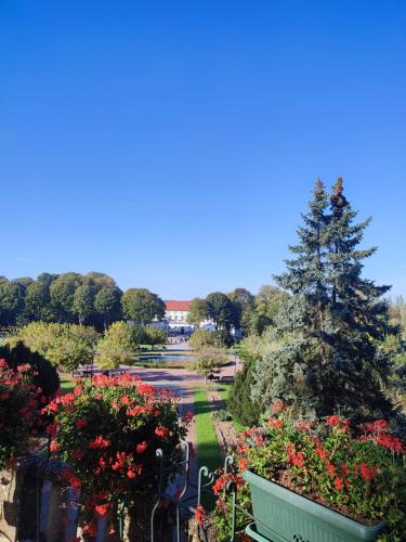 a park with a bench and flowers and a pond at LadyDi apartman in Banja Koviljača