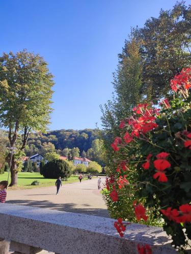 a park with red flowers and people walking on a sidewalk at LadyDi apartman in Banja Koviljača