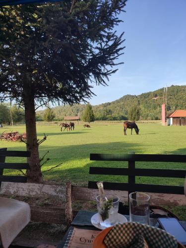an outdoor table with a view of a field with horses at LadyDi apartman in Banja Koviljača