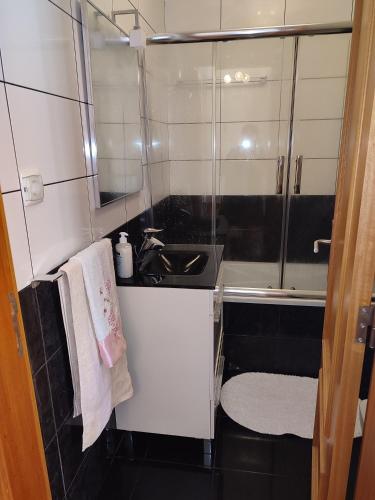 a bathroom with a sink and a mirror at Delfina`s House in Machico