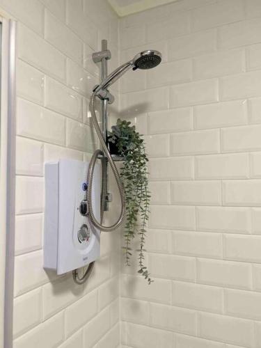 a shower with a plant in the corner of a bathroom at Luxury SuperKingsize Bed in London in London
