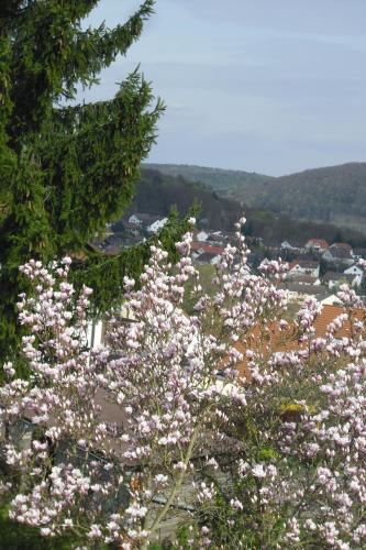 a bunch of pink flowers in a field at Gästehaus Cramer in Bad Kissingen