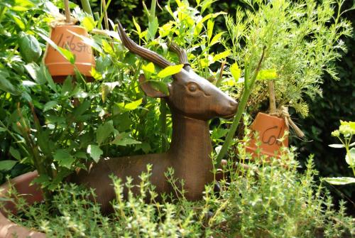 Jardín al aire libre en Landgasthof zum Hirschen