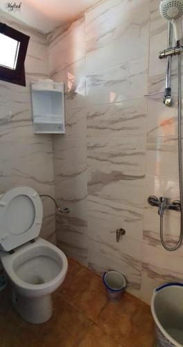 a bathroom with a toilet and a shower at Casa Hamidane in Chefchaouene