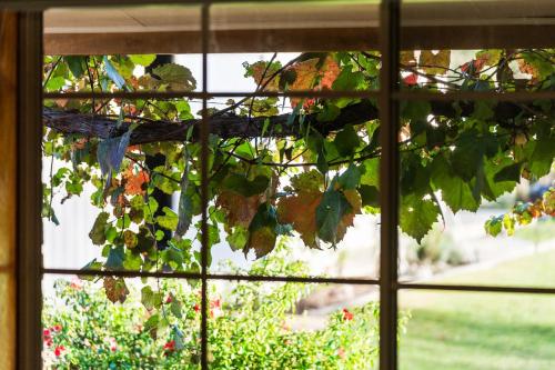 Jardín al aire libre en Heavenly Hideaway at Lovedale with Private Pool and Spa