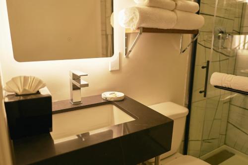 a bathroom with a sink and a mirror and a toilet at Hotel Julian in San Francisco