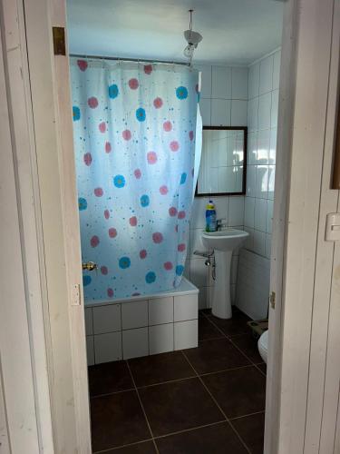 a bathroom with a shower curtain with a toilet and a sink at Arenas de Ancud in Ancud