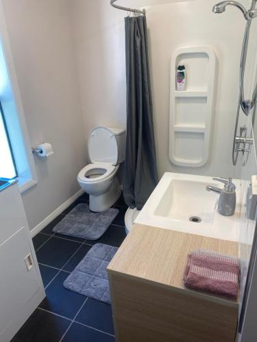 a small bathroom with a sink and a toilet at Peaceful Picton Home in Picton