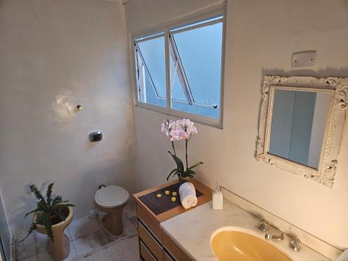 ein Badezimmer mit einem Waschbecken, einem WC und einem Spiegel in der Unterkunft Espaço Semente Poa Violeta in Porto Alegre