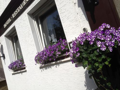 Galería fotográfica de Hotel Domhof en Soest