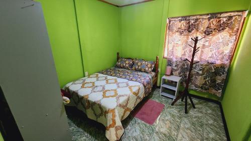 a green room with a bed and a window at Hospedajes Richie Eco Camp in Providencia