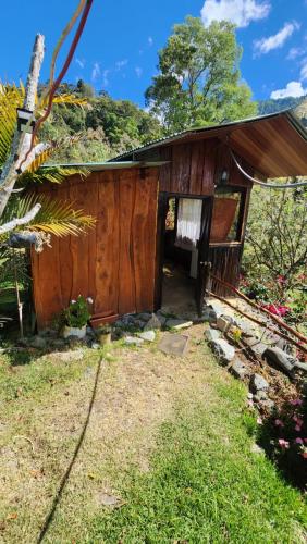 a small wooden house with a door in the yard at Hospedajes Richie Eco Camp in Providencia