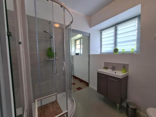 W łazience znajduje się prysznic i umywalka. w obiekcie Gîte Communauté de communes Brenne - Val de Creuse-Ciron, 2 pièces, 4 personnes - FR-1-591-21 w mieście Ciron