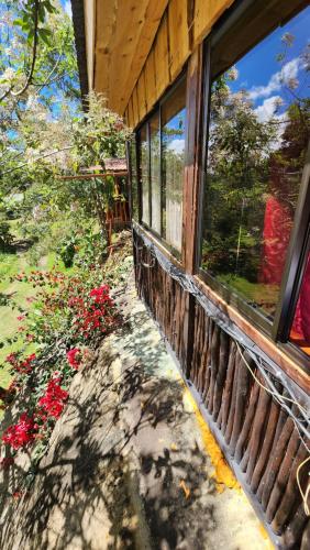 a window on the side of a house with flowers at Hospedajes Richie Eco Camp in Providencia