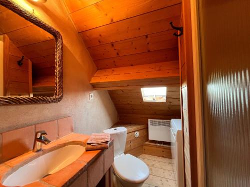 un bagno con un water e un lavandino di Gîte en Berry avec jardin, cheminée, jeux enfants - calme assuré en pleine nature - FR-1-591-158 a Sainte-Fauste