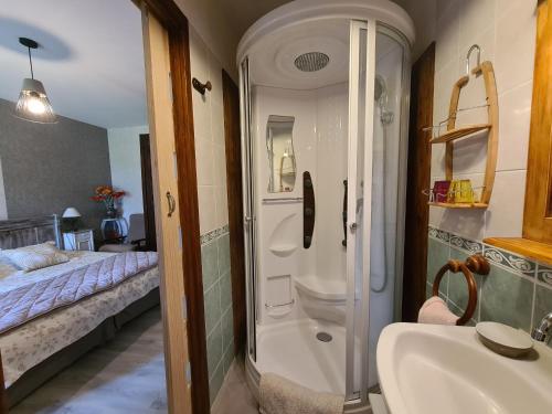 Koupelna v ubytování Fermette au calme avec piscine, jardin et étang de pêche - FR-1-591-333