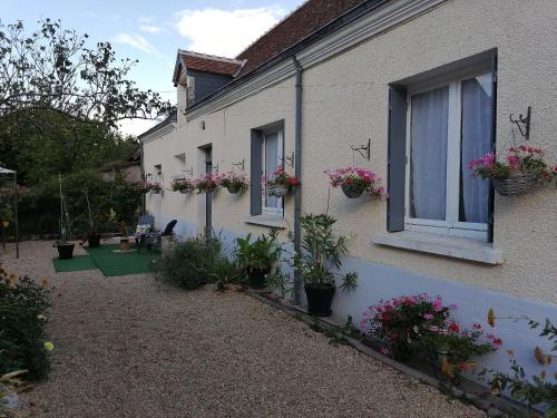 Maison avec jardin, Spa privatif à proximité de Beauval et Valençay - FR-1-591-345