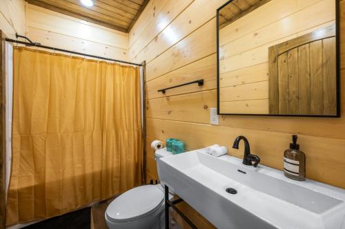 a bathroom with a sink and a toilet and a mirror at SmokiesBoutiqueCabins would love to host you at our NEW cabin! 3 King Suites, Indoor Pool, Game Room, Lounge with 75" TV! Close to Dollywood and the Parkway! in Pigeon Forge