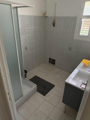 a small bathroom with a shower and a sink at Maison de ville proche marina in Le Marin