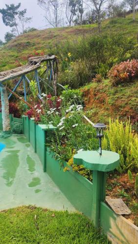 a garden with green benches and flowers on a hill at Hospedajes Richie Eco Camp in Providencia