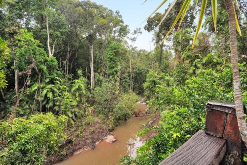 Un paisaje natural cerca de la casa vacacional