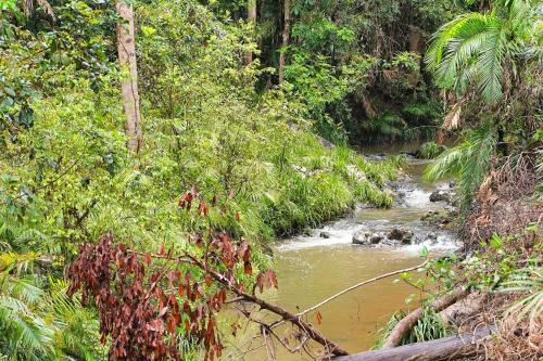 Un paisaje natural cerca de la casa vacacional