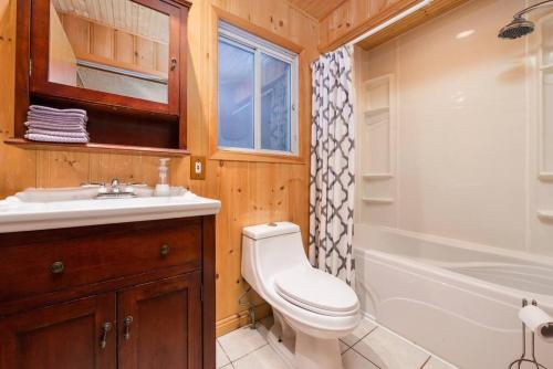 a bathroom with a toilet and a sink and a tub at Lake St-Joseph Waterfront SPA SAUNA Gaming room in Saint Adolphe D'Howard