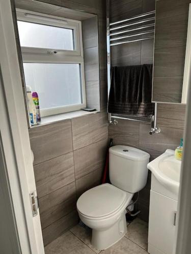 a small bathroom with a toilet and a sink at Modern Studio flat with free parking in Langley Marish