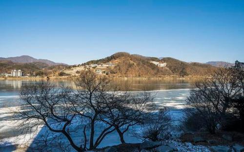 two trees in the middle of a body of water at The Line Hotel in Yangpyeong