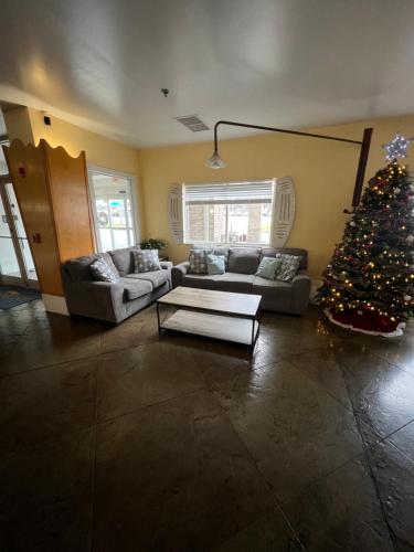 a living room with a christmas tree and a couch at Baymont by Wyndham Lawrenceburg in Lawrenceburg