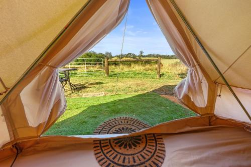a view from inside a tent with a view of a field at Forrest Holiday Park in Forrest