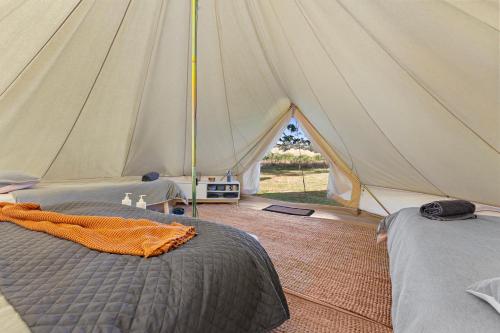 a tent with two beds in a room at Forrest Holiday Park in Forrest