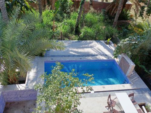 a swimming pool in the middle of a garden with plants at Riad Nizwa in Nizwa