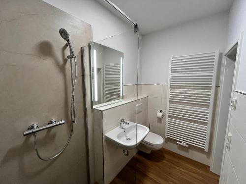 Vonios kambarys apgyvendinimo įstaigoje Ferienwohnungen Landeskrone Dresden