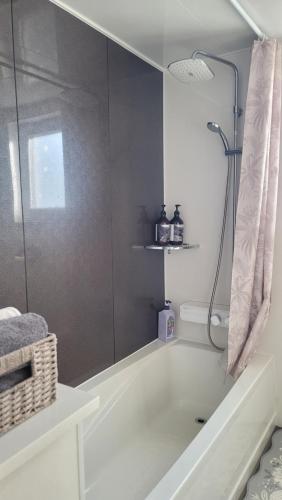 a bathroom with a shower and a bath tub at Haumok52 Udo in Jeju